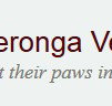 Yeronga Vet Surgery
