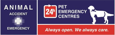 Animal Accident & Emergency - Vet Canberra 0