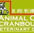 Animal Care Cranbourne Veterinary Centre - Vet Canberra