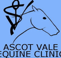Ascot Vale Equine Clinic - Vet Canberra
