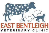  Vet Canberra