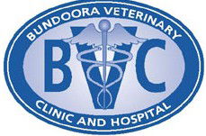 Bundoora Veterinary Clinic - Vet Canberra 0