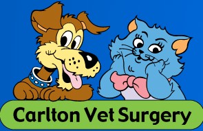 Carlton North VIC Vet Canberra
