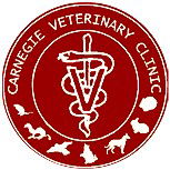 Book Carnegie Accommodation Vacations Vet Canberra Vet Canberra