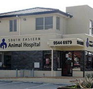 South Eastern Animal Hospital - Vet Canberra