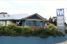 Doncaster Veterinary Hospital - Vet Canberra 0
