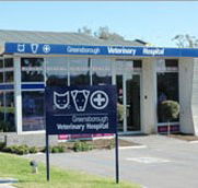 Greensborough Veterinary Hospital - Vet Canberra