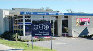 Greensborough Veterinary Hospital - Vet Canberra 0