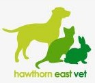 Hawthorn East VIC Vet Canberra