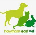 Hawthorn East Vet - Vet Canberra