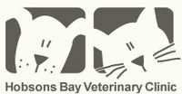Book Newport Accommodation Vacations Vet Canberra Vet Canberra
