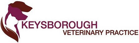  Vet Canberra