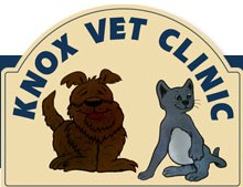 Wantirna South VIC Vet Canberra