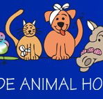 AdelaideVet - Goodwood Road - Vet Canberra