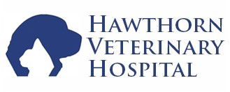 Springfield SA Vet Canberra