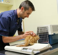 Seaford Vet Care - Vet Canberra