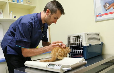 Seaford Vet Care - Vet Canberra 0