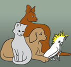Southcoast Animal Hospital - Vet Canberra