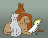 Southcoast Animal Hospital
