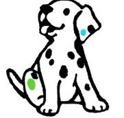 Four Paws Vets - Unley Vet Surgery - Vet Canberra