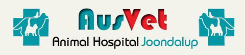 AusVet Animal Hospitals - Vet Canberra 0