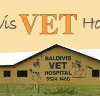 Baldivis Vet Hospital - Vet Canberra