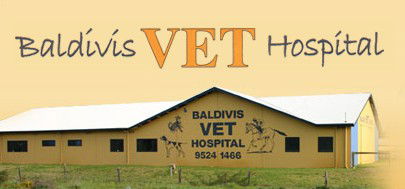 Baldivis Vet Hospital - Vet Canberra 0