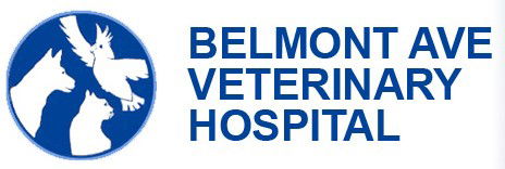 Belmont Avenue Veterinary Hospital - Vet Canberra 0
