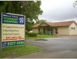Belmont Avenue Veterinary Hospital - Vet Canberra 1
