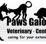 Paws Galore Veterinary Centre - Vet Canberra