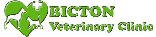 Palmyra Dc WA Vet Canberra