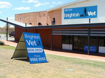  Vet Canberra