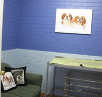 Cavalier Vet Practice - Vet Canberra
