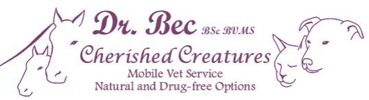 Hopeland WA Vet Canberra
