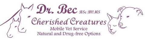 Cherished Creatures - Vet Canberra 0