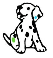 Four Paws Vet - Black Forest Vet Surgery - Vet Canberra 0