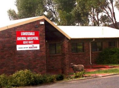 Landsdale Animal Hospital - Vet Canberra 1