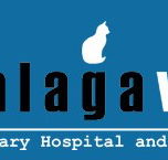 Malaga Veterinary Hospital - Vet Canberra