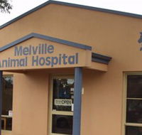 Melville Animal Hospital - Vet Canberra