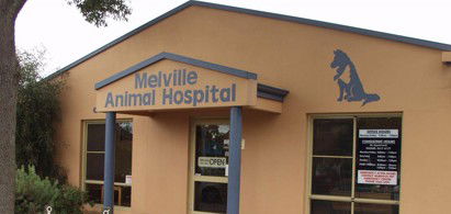 Melville Animal Hospital - Vet Canberra 0