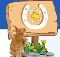Midland Vet Hospital - Vet Canberra