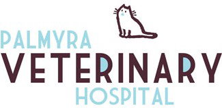 Palmyra WA Vet Canberra