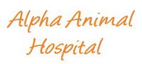 Book Coolangatta Accommodation Vacations Vet Canberra Vet Canberra