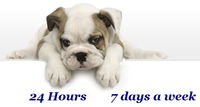 Book Gold Coast Accommodation Vacations Vet Canberra Vet Canberra