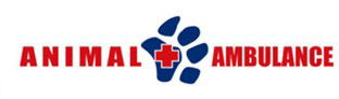 Animal Ambulance - Vet Canberra 1