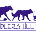 Chandlers Hill Vet - Vet Canberra