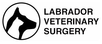 Labrador Veterinary Surgery - Vet Canberra 0