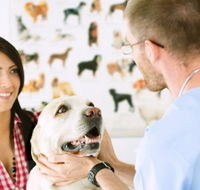 All Creatures Veterinary Centre - Vet Canberra