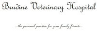 Brudine Veterinary Hospital