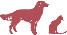 Deakin Veterinary Hospital - Vet Canberra 0